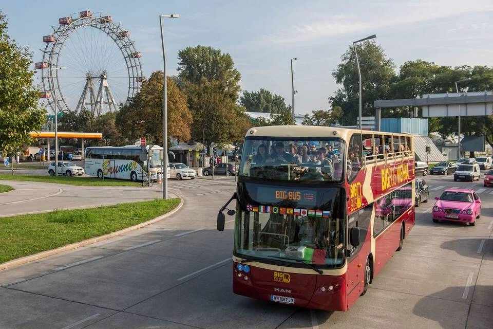 Big Bus Tours: Vienna Panoramic Sightseeing Afternoon Bus Tour