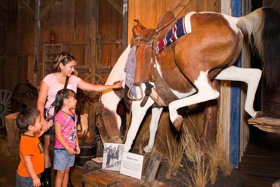 Go City: San Antonio Essentials Pass Visit Top 3 Choices