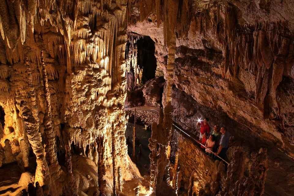 Go City: San Antonio Highlights Pass Visit 3 Top Choices