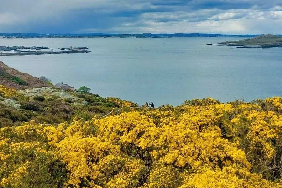 Things To Do In Dublin Tours