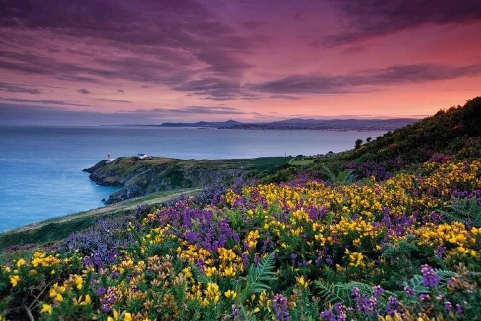 City Sightseeing: Howth Coastal Tour