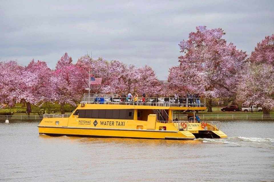 About Washington D.C. Sightseeing Tours