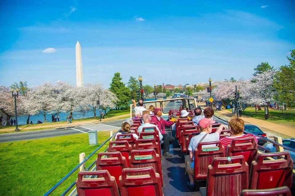 Big Bus: Washington DC Hop-On, Hop-Off Tour and 1-Day Water Taxi Pass