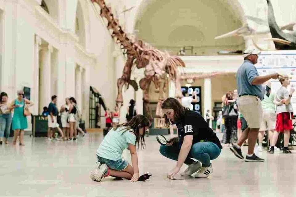 Go City Chicago Essentials Pass: Visit 3 Top Attractions