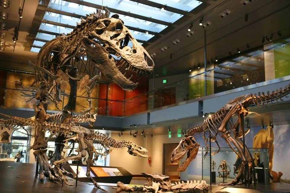 Go City: Los Angeles Essentials Pass- Visit 3 Top Attractions