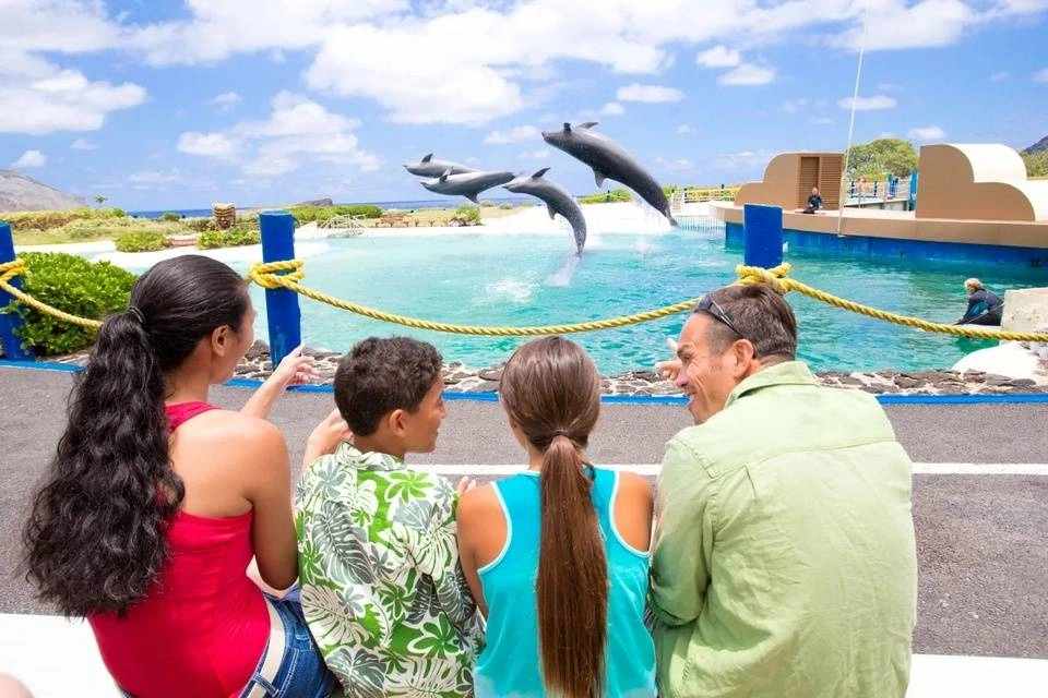 Place of Oahu Tours