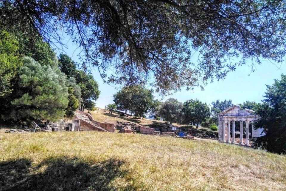 Guided Visit of Apollonia