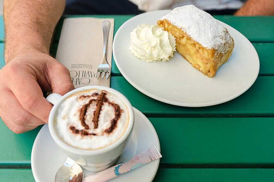 Schönbrunn Panoramic: Early Morning Panoramic Tour + Coffee and Apple Strudel