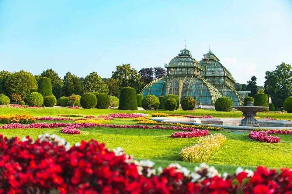 Schönbrunn Panoramic: Early Morning Panoramic Tour + Coffee and Apple Strudel
