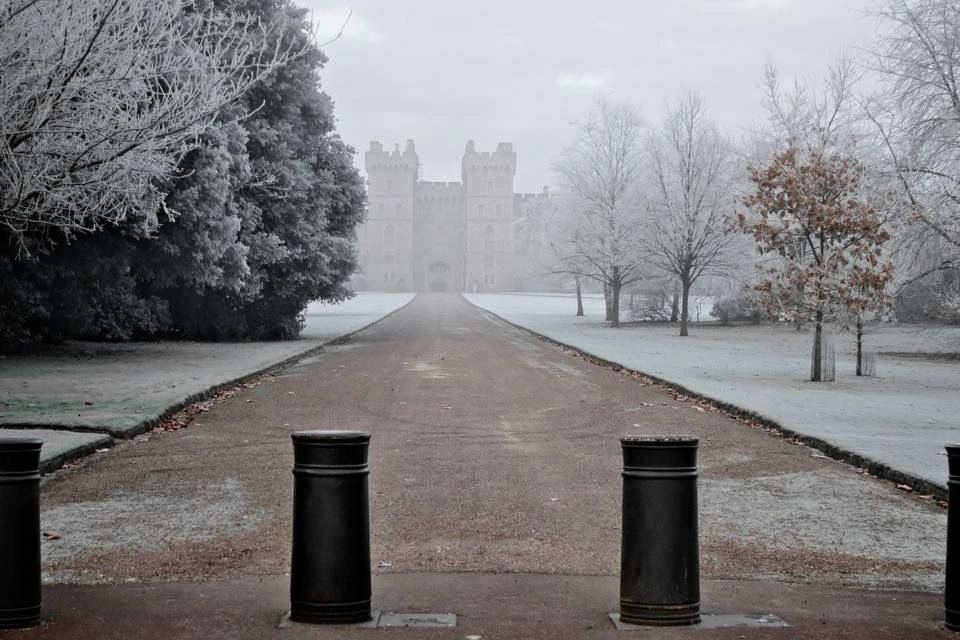Windsor, Oxford and Avebury's Stone Circle with Traditional Christmas Lunch