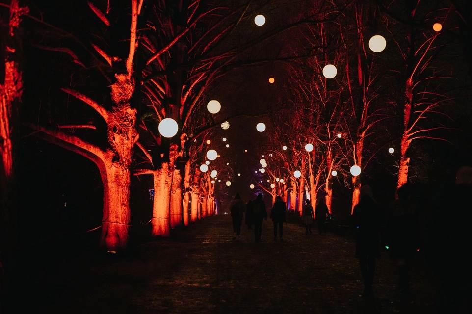 Chelsea Winter Illuminations