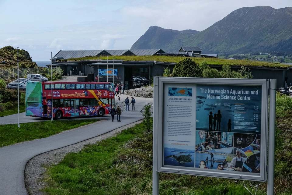 Alesund Hop-On, Hop-Off Bus Tour