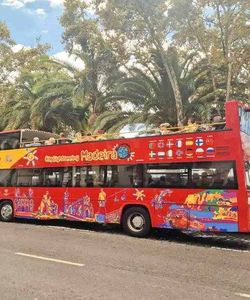 City Sightseeing: Funchal Hop-On, Hop-Off Bus Tour (Red Route)