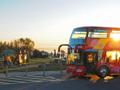 City Sightseeing: Cape Town Premium Hop-On, Hop-Off (2 Day Ticket) - Image 2