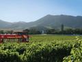 City Sightseeing: Cape Town Premium Hop-On, Hop-Off (2 Day Ticket) - Image 3