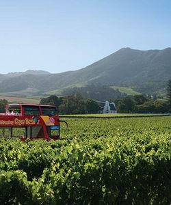 City Sightseeing: Cape Town Premium Hop-On, Hop-Off (2 Day Ticket)