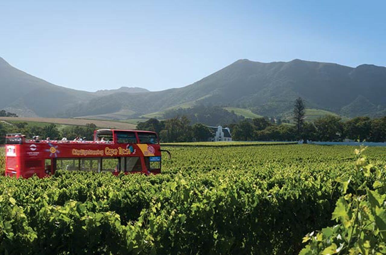 Constantia Valley Wine