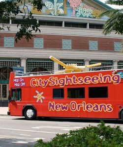 City Sightseeing: New Orleans Hop-On, Hop-Off Bus Tour