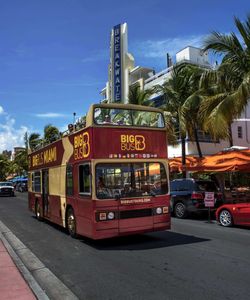 Big Bus Tours: Miami Hop-On, Hop-Off Bus Tour
