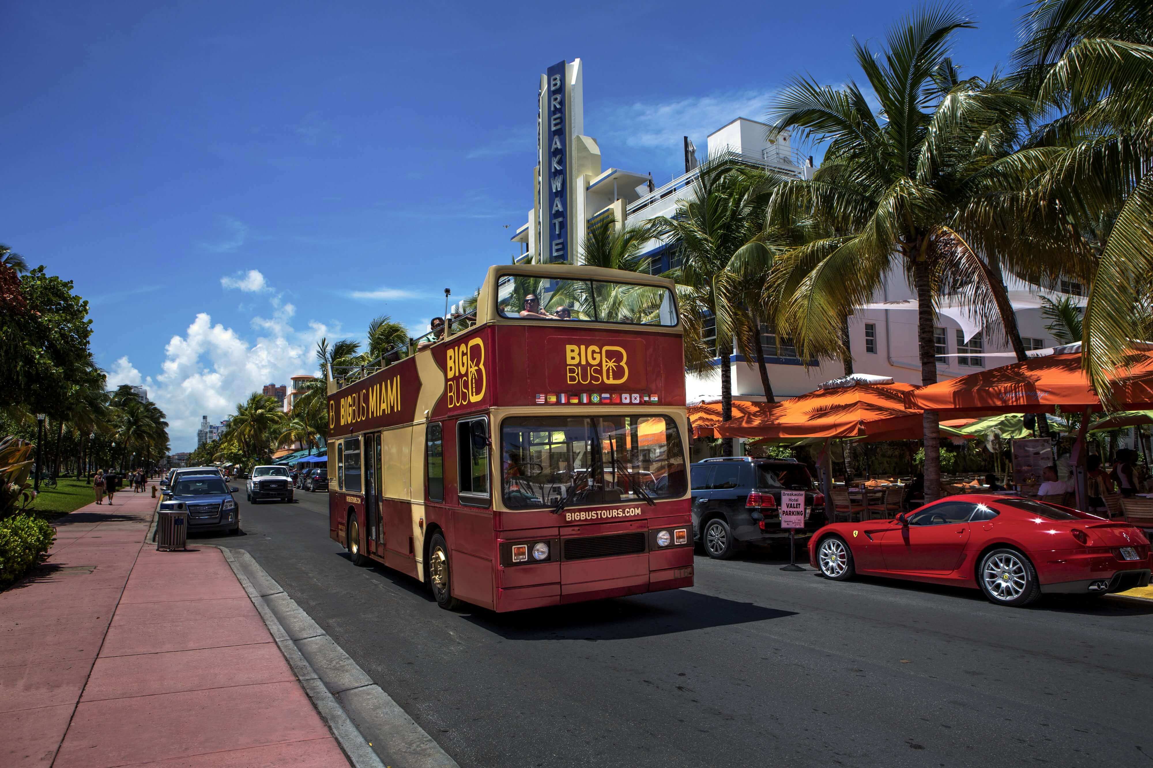 Big Bus Tours: Miami Hop-On, Hop-Off Bus Tour