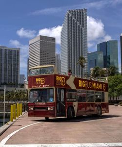 Big Bus Tours: Miami Hop-On, Hop-Off Bus Tour