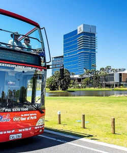 Perth Explorer: Perth Hop-On, Hop-Off Bus Tour & Bullion