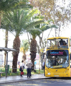 Yellow Bus: Funchal 3-in-1 Hop-On, Hop-Off Bus Tour