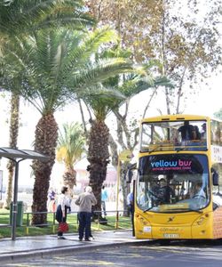 Yellow Bus: Funchal 3-in-1 Hop-On, Hop-Off Bus Tour