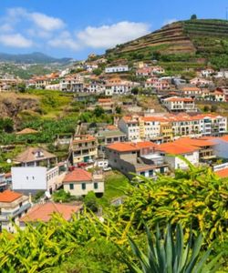 Yellow Bus: Funchal 3-in-1 Hop-On, Hop-Off Bus Tour