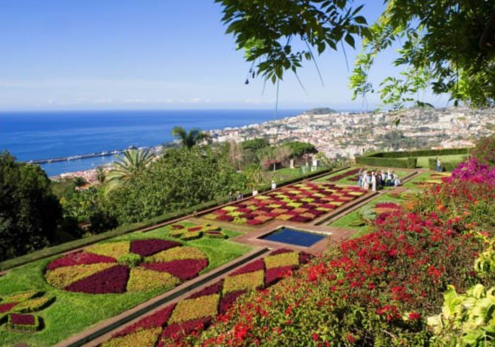 Funchal Hop On Hop Off