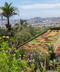 Yellow Bus: Funchal 2-in-1 Hop-On, Hop-Off Bus Tour