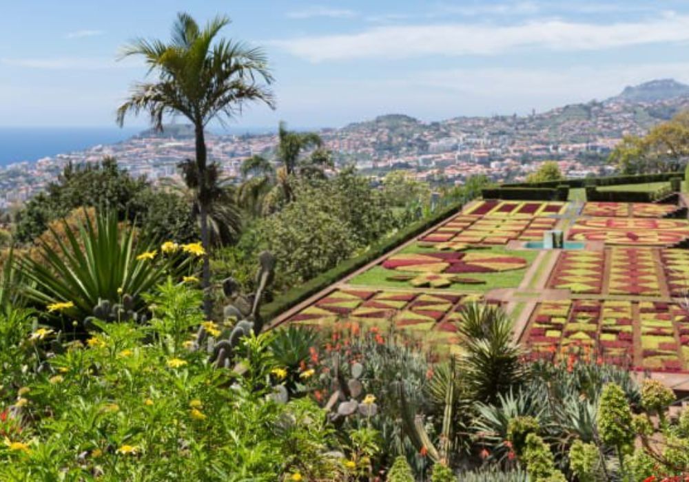 Funchal Hop On Hop Off