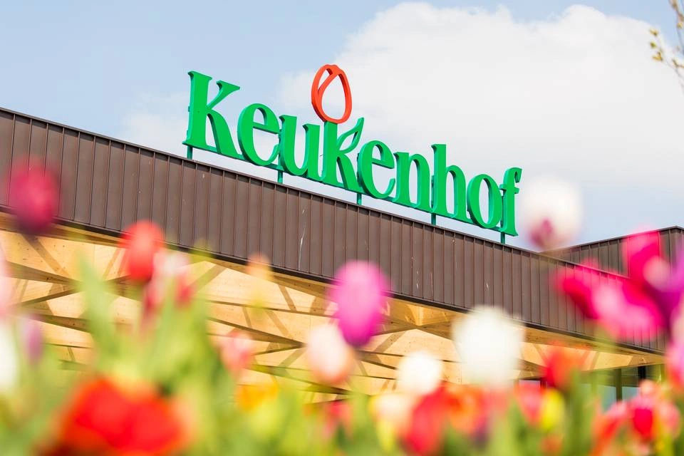 Keukenhof