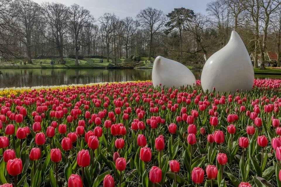 Keukenhof