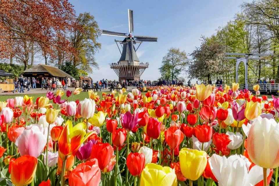 Keukenhof Guided Day Trip with Bus Transfers
