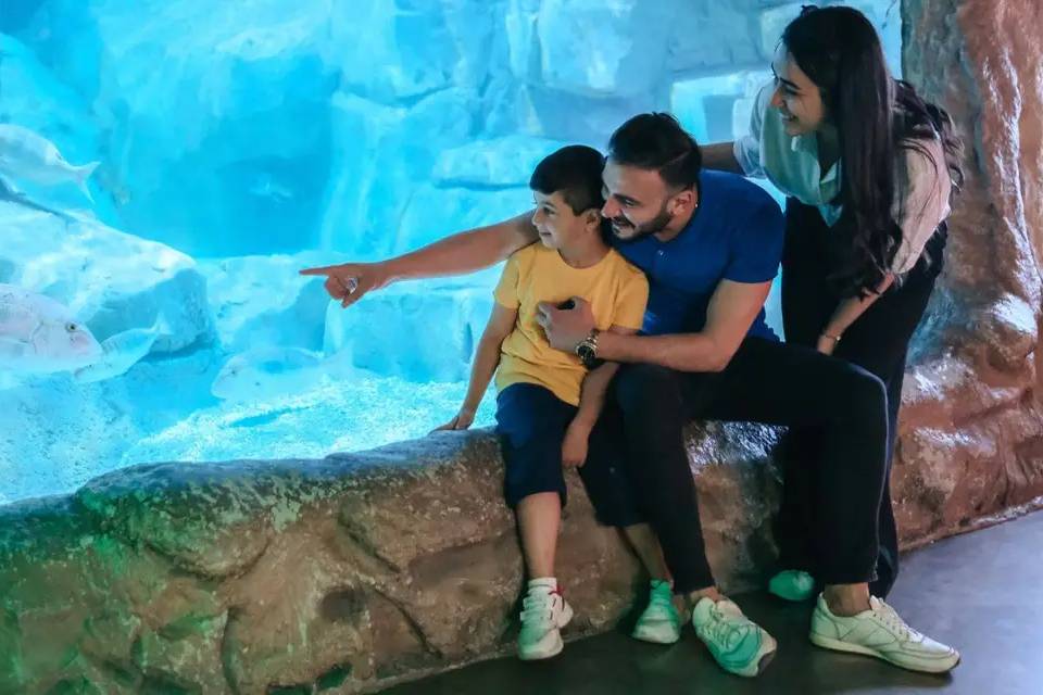 Barcelona Aquarium