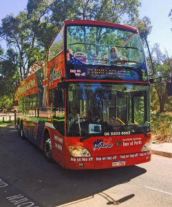 Perth Explorer: Perth Hop-On, Hop-Off Bus Tour