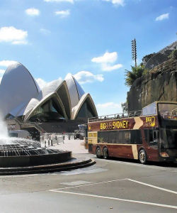 Big Bus Tours: Sydney Hop-On, Hop-Off Bus Tour