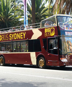 Big Bus Tours: Sydney Hop-On, Hop-Off Bus Tour