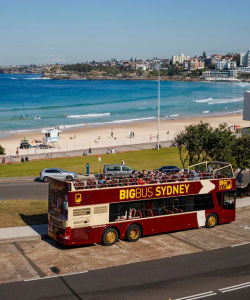 Big Bus Tours: Sydney Hop-On, Hop-Off Bus Tour