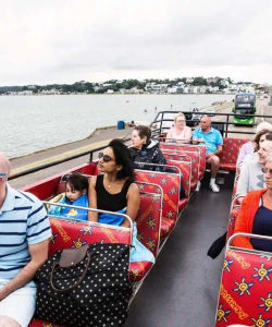 City Sightseeing: Bournemouth Hop-On, Hop-Off Bus Tour