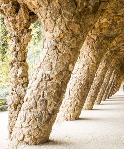 Barcelona Gaudi Tour: Artistic Barcelona including Sagrada Familia