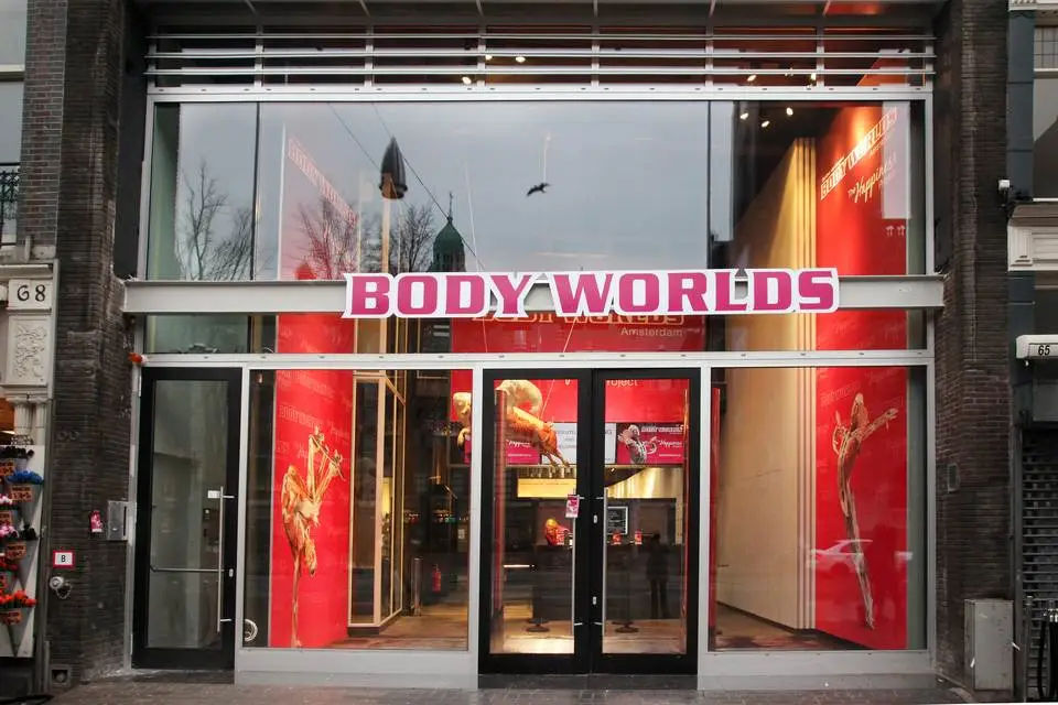 Entrance Ticket to Body Worlds Amsterdam