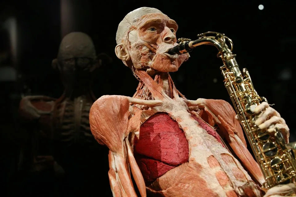 Amsterdam BODY WORLDS