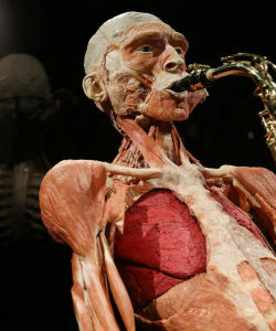 Entrance Ticket to Body Worlds Amsterdam