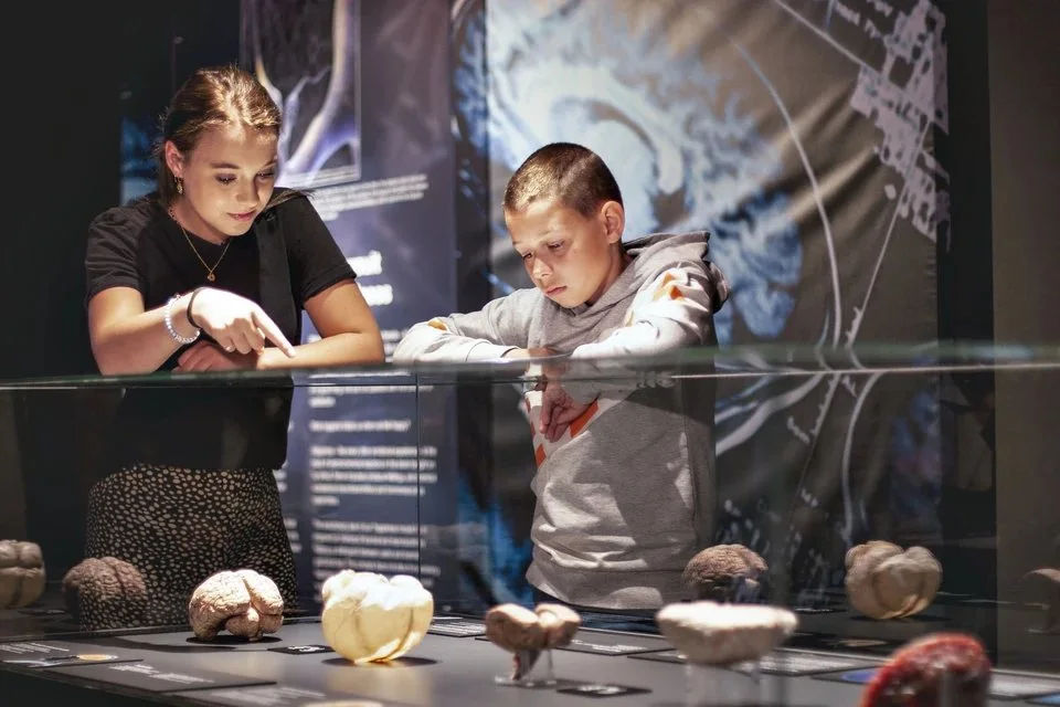 Amsterdam BODY WORLDS