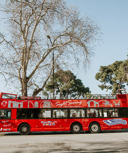 Sightseeing Thessaloniki: Open-Top Hop-On, Hop-Off Bus Tour