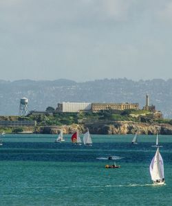 Skyline Sightseeing: San Francisco Hop-On, Hop-Off & Alcatraz