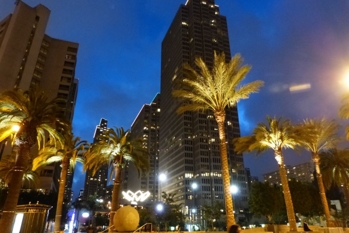 Skyline Sightseeing: San Francisco Panoramic Night Bus Tour