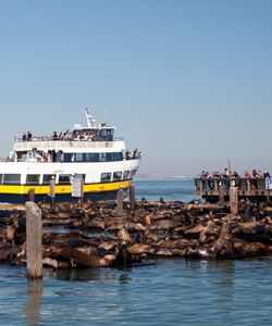 Skyline Sightseeing: San Francisco Bay Cruise & Double-Decker Night Tour